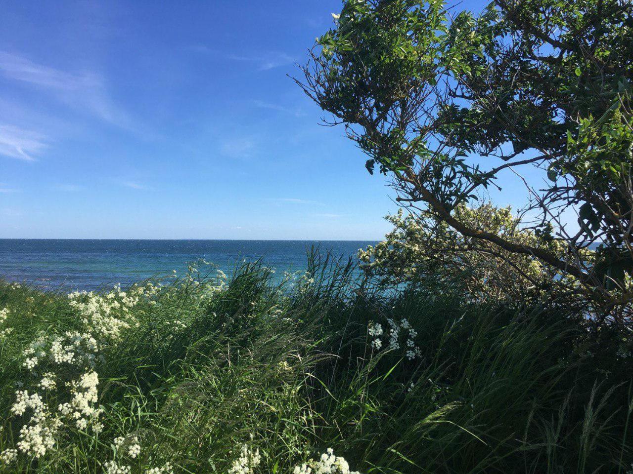 Traumhaftes Strand-Apartment Mit Meerblick Staberdorf Kültér fotó
